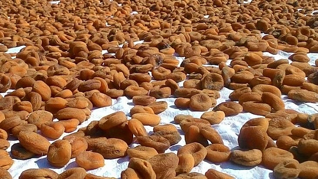 Malatya, Elazığ'ı kayısı ile geçti