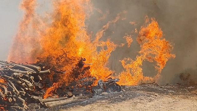 Malatya'nın Doğanyol ilçesinde orman yangını