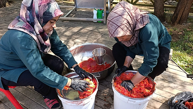 Malatyalı kadınlardan organik domates hamlesi