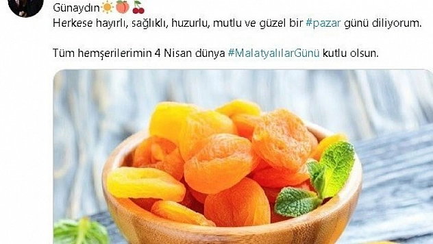 Malatyalılar günü kutlamaları sanalda
