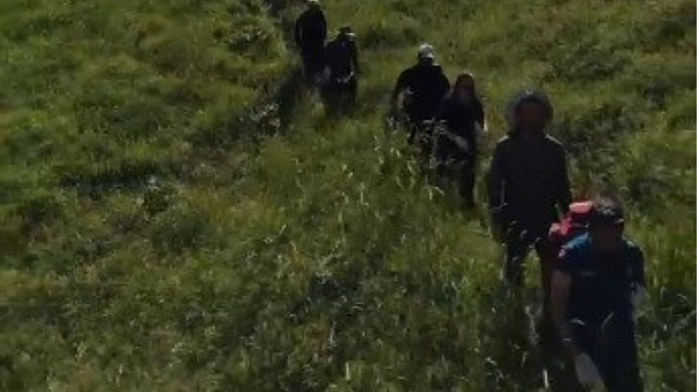 Mantar toplamaya giden 3 kişiye ayı saldırdı