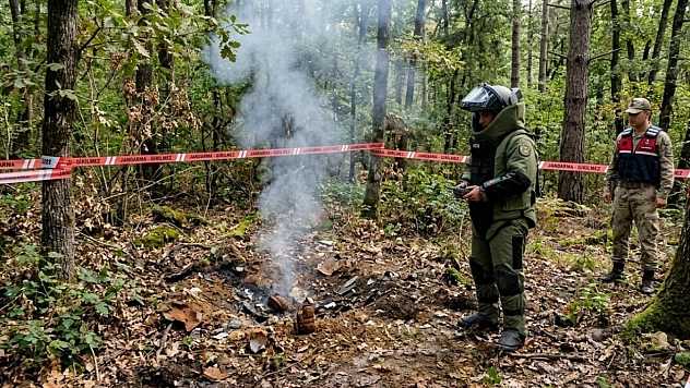 Mantar toplarken el bombası buldu