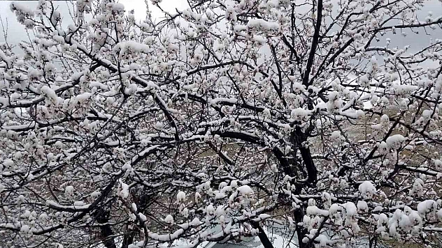 Meteoroloji'den Elazığ'a uyarı geldi!