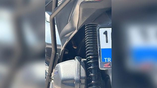 Motosikletten çıkan yılan şoke etti