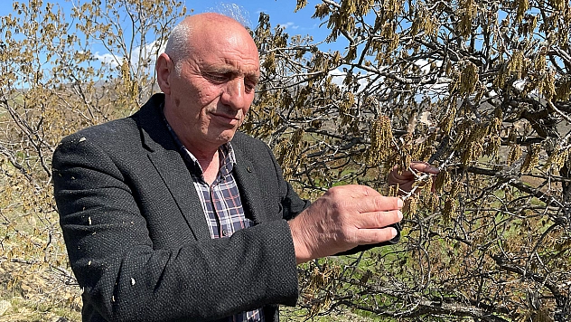 Muhtar Yasul: '50 yıldır böyle bir afet görmedik'