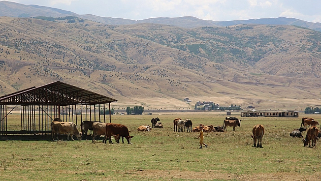 Muş'ta Bir Köy Karantinaya Alındı