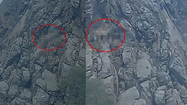 Nesli Tükenme Tehlikesi Altındaki Tırmanma Uzmanları Elazığ'da Görüntülendi