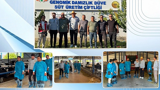 Niğde'de Türkiye'nin ilk hastalıktan ari genomik işletmesi değerlendirildi