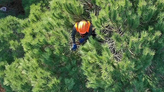 O kuruma daimi işçi alınacak! işte şartlar