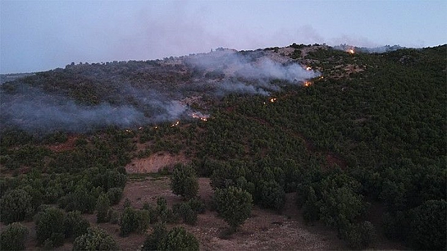 Orman yangınını söndürme çalışmaları çok sayıda ekiple sürüyor