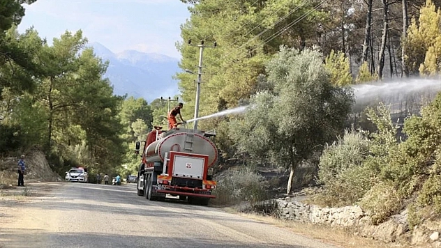 Orman yangınlarında bilanço ağır: 43 şüpheli, 11 tutuklama