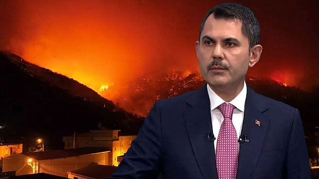 Orman yangınlarının bilançosu ağır oldu