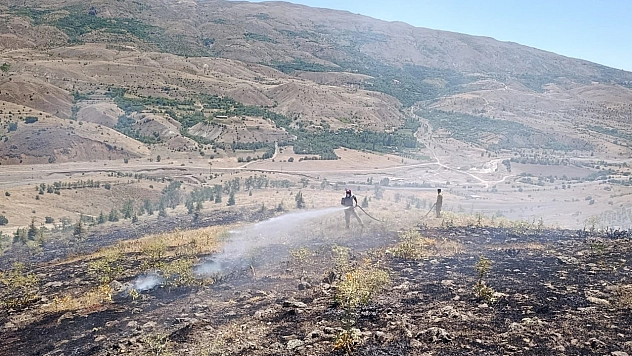 Ormanlar hepimizin yakma, yaktırma!