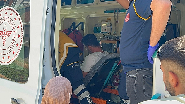 Otomobil ile kamyonet çarpıştı