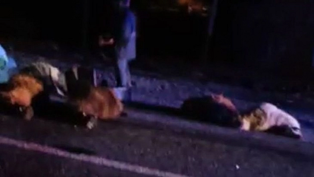 Otomobil Koyun Sürüsüne Çarptı: 14 Koyun Telef Oldu