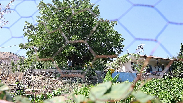 Palu'nun göz bebeği 500 yıla meydan okuyor