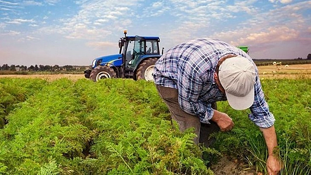 Paran Olsa Ne Yazar!