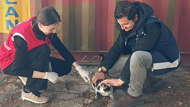 Polis Kurtardı, Kızılay Sahiplendi, Adı 'Afet' Oldu