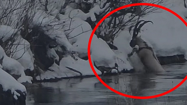 Pülümür Vadisi'nde belgesellik görüntü