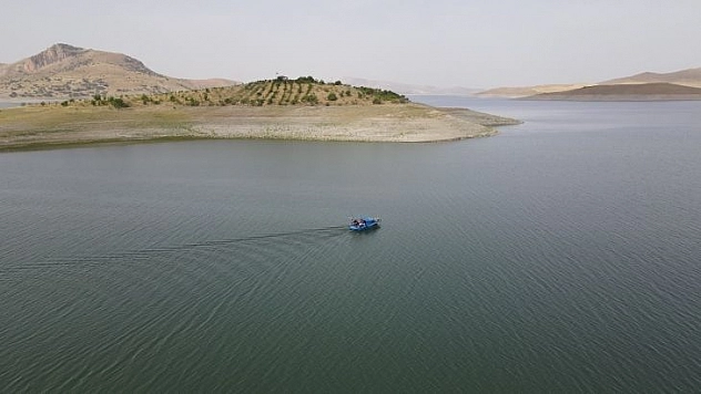 Robinson Ziya dede su yükselince adasına kavuştu