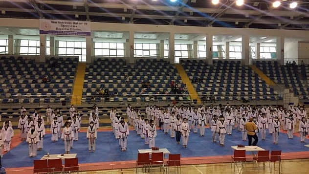 Şahin'den olimpiyat övgüsü