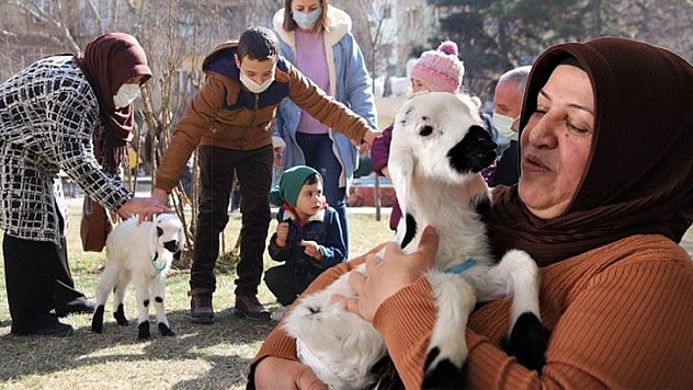 Sahiplendiği kuzu, hem evinin neşesi, hem de terapisi oldu