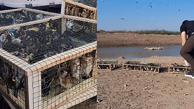 Saka Kuşu kaçakçılığı engellendi