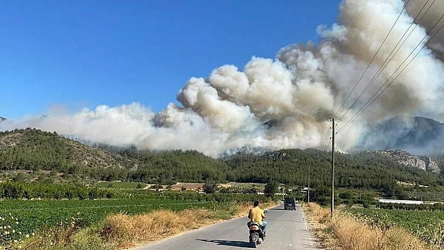 Sakarya'daki orman yangını kısmen kontrol altında