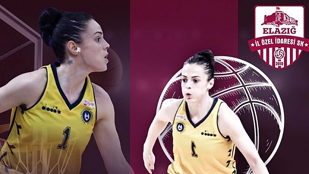 Şenay Şale Sarısoy, Elazığ İl Özel İdare'de