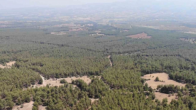 Sıcaklıklar artıyor, ormanlara giriş yasaklanıyor