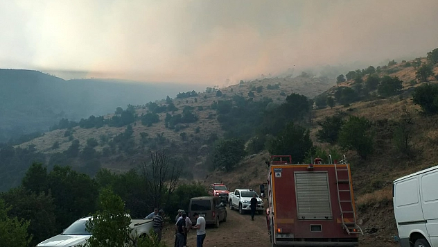 Sivrice'deki orman yangını kontrol altına alındı