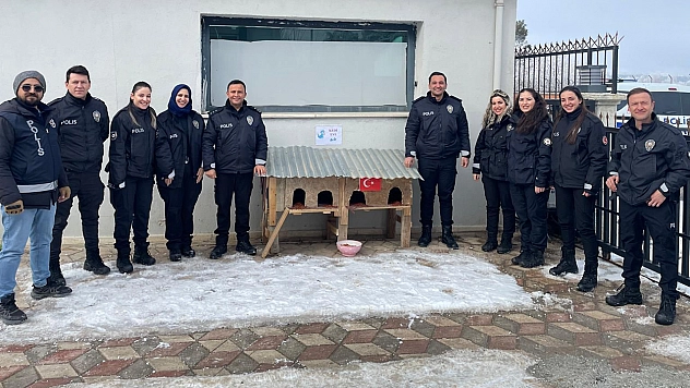 Sivrice polisinden üşüyen minik dostlarına kedi evi