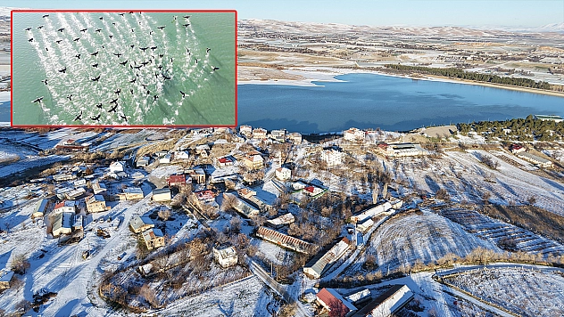 Soğuk hava Cip Barajı'nda yaban hayatını görsel şölene dönüştürdü