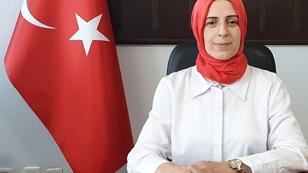 Sokak hayvanları için yeni yaşam alanı önerisi