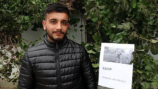 Sokak Sokak Gezerek Kaybolan Köpeğini Arıyor