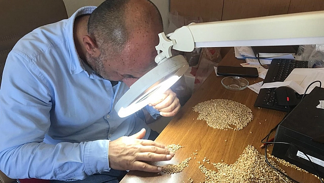 Süne Emgi analizi çalışmaları sürüyor