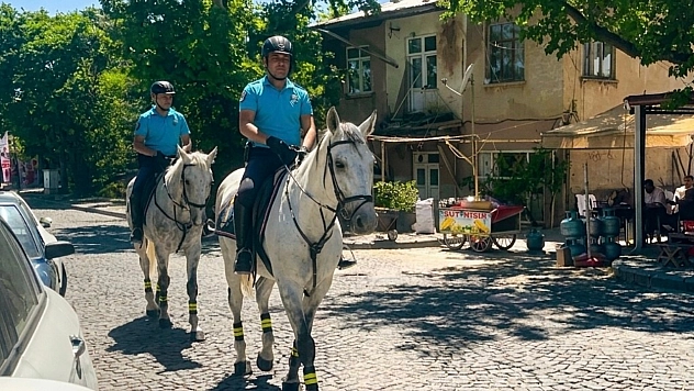 Tarihi Harput'ta atlı jandarma mesaisi