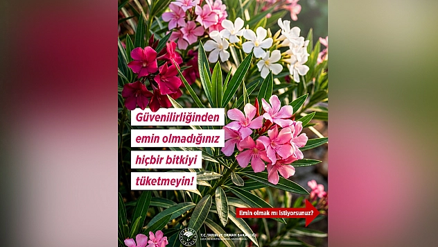 Tarım Bakanlığı'ndan bitki tüketiminde hayati uyarı