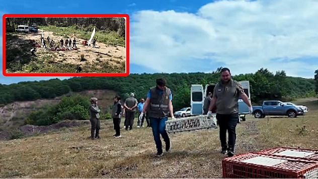 Tarım ve Orman Bakanlığı'ndan 51 bin keklik ve sülün hamlesi