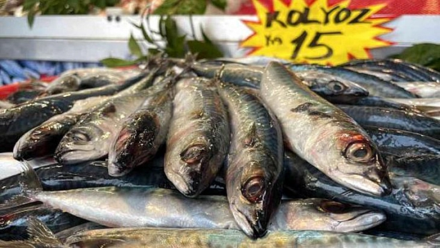 Tezgahların Yeni Efendisi! Kolyoz Balığı