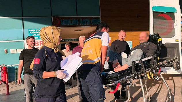 Tomruğa zincir bağlarken dehşeti yaşadı: 6 Parmağı koptu
