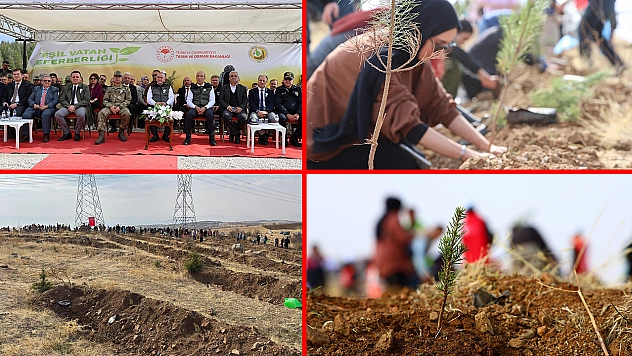 Törensel ağaç dikimleri