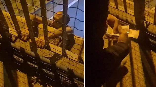 Trafik cezası sonrası intihar girişimi