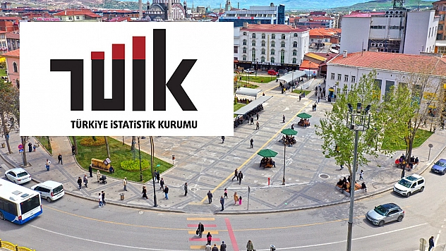 TÜİK Elazığ'da Kütüphane Sayısını açıkladı