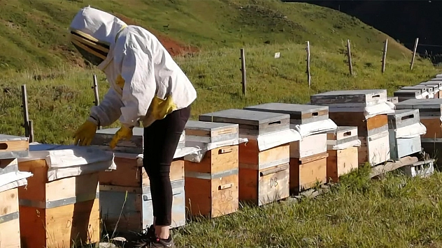 Tunceli'da bal fiyatları