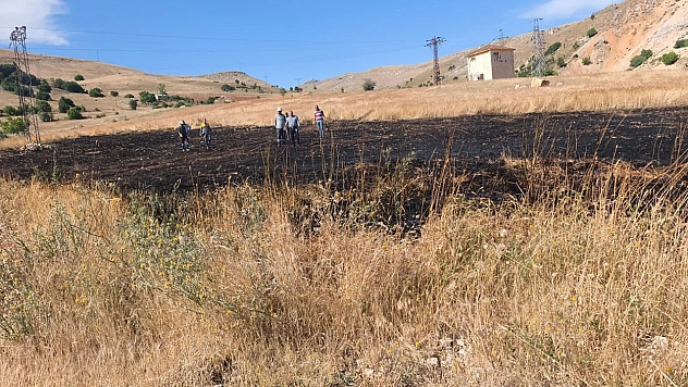 Tunceli'de arazi yangını