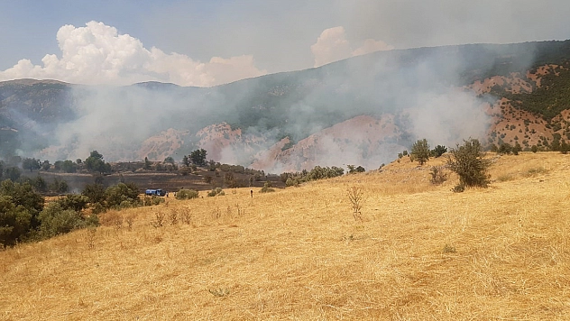 Tunceli'de çıkan yangın büyük ölçüde söndürüldü