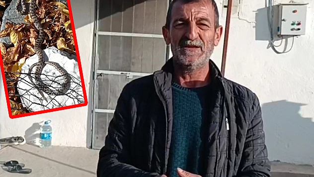 Tunceli'de emekli öğretmen, engerek yılanlarıyla konuşarak doğayı koruyor