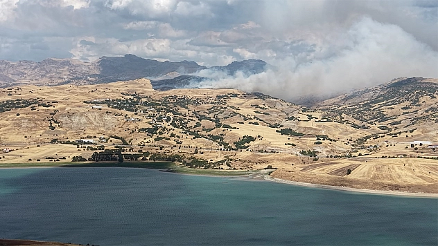 Tunceli'de kırsal alan yangını: Müdahale sürüyor