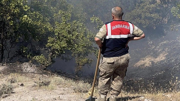 Tunceli'de otluk ve ormanlık alanda yangın çıktı!